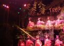 Tropicana Show, Buena Vista, Havana