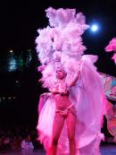 Tropicana Show, Buena Vista, Havana