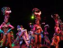 Tropicana Show, Buena Vista, Havana
