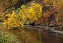 River Color