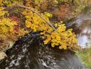Fall Color