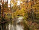 Autumn Color