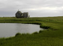 Stilt House