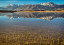 Eastern Sierras