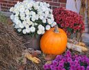 Chautauqua Autumn