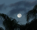 Long Night Moon