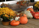 Fall display