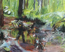 Bog in summer