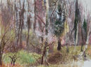 Cherry Blossom in Winter