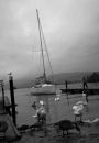 20091114- MG 2508