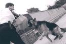 Police Dog