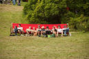 Green man festival 2009