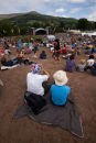 Greenman Festival 2010
