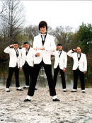 The Hives