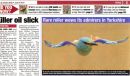 More of that beautiful bird... this time in Cage & Aviary Birds magazine.