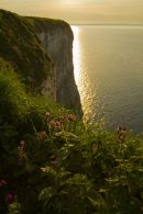 Bempton Sunset 21st June 2012