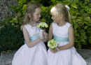 Bridesmaids