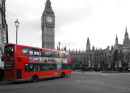 Big Red Bus