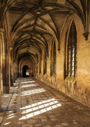 Cloister Morning