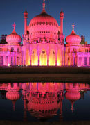 Pink Pavilion