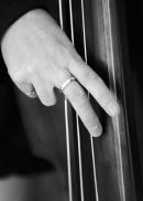 Lady Plays the Blues