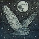 A Winter's Night