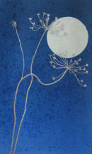 Moon Rising