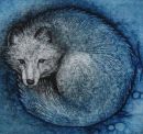 Snow Fox