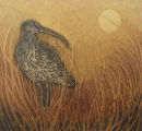 Hester's solo exhibition 'Home' at the Gallery , Masham, will run until 31st January 2011