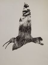 Drawing on the Past: A Journey