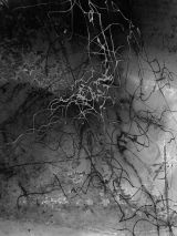 The sound of Minus 5
