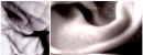 two of the five senses