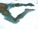 breast stroke
