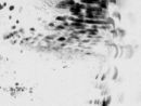 transforming light - video still