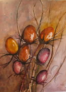 Seed pods