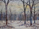 Winter Saplings