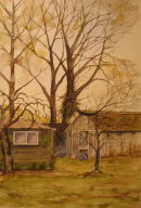 New Allotment, Old Sheds, Feckenham