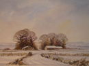 Winter Skies