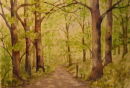 Woodland Spring