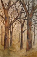 Woodland Path