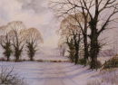 Winter Shadows