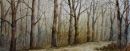 Forest Track