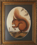 Red Squirrel
