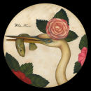 White Heron Eating