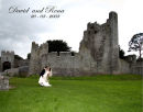 Adare Castle, Co. Limerick.