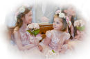 beautiful bridesmaids