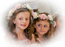 beautiful bridesmaids