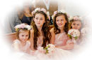 beautiful bridesmaids and flower girls