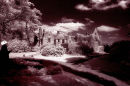 nymans4a sussex