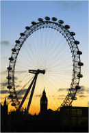 eye0016